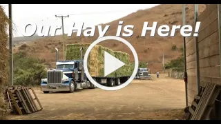 Our Hay Arrives!