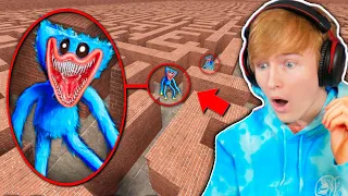 NIGHTMARE HUGGY WUGGY IN MAZE!! (gmod nextbot)