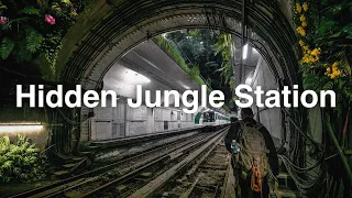 Why is there a Hidden Jungle inside this Paris Métro Station?