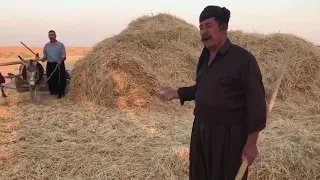 هونەری ڕەسەنی گەرمیان مەقامی خورشیدی لە کەش و هەوایەکی گەرمیانیانە. 😍😍بەهمەن کاکەی