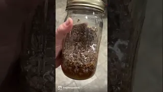 Lilac Infused Honey