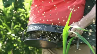 No Till Food Plots | Forage Pea Bean and Oat Explosion