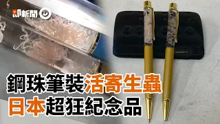 筆裡裝「活跳跳寄生蟲」！在水中扭動　日本獵奇紀念品1支$250｜高知縣｜寄生蟲鋼珠筆｜海獸胃線蟲