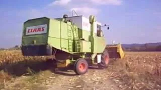 CLAAS Dominator 105 Kukorica aratás.mp4