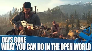 Days Gone - What Will You Be Doing In The Open World?