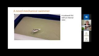 Constraints, Passive Mechanics and Embodied Sensing in Fish-like Swimming