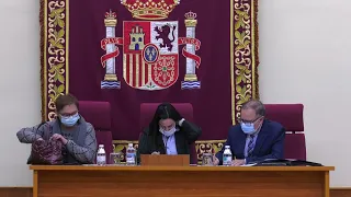 2022 03 07 Pleno Ordinario Marzo