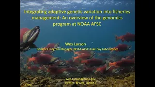 IPHC Seminar Series 20-01 Integrating adaptive genetic variation into fisheries management