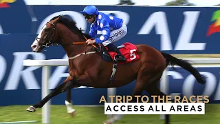 ACCESS ALL AREAS: FOLLOW A HORSE FROM STABLE TO WINNERS' ENCLOSURE AT SANDOWN PARK RACECOURSE