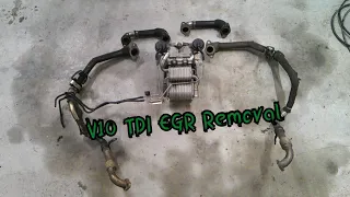 V10 TDI EGR removal (for repair purposes)