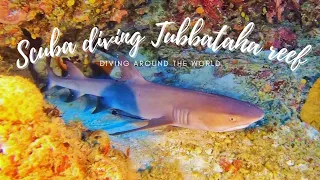 Scuba diving - Tubbataha reef (4K)