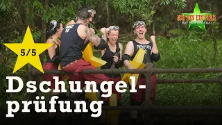 Die Fantastic Five meistern die Prüfung "Creek der Sterne" | Dschungelcamp 2024