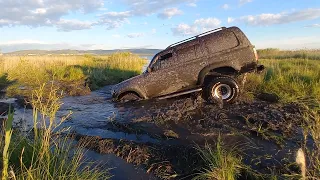 Land Cruiser 80 реально удивил в болоте! UAZ Patriot, Jeep, Escudo, Carib. OffRoad