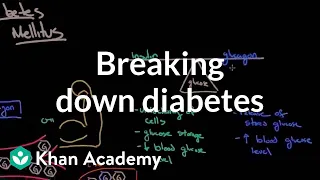 Breaking down diabetes | Endocrine system diseases | NCLEX-RN | Khan Academy