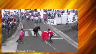 Tourada HF na Ribeira Manuel Vieira   Ilha Terceira, Açores