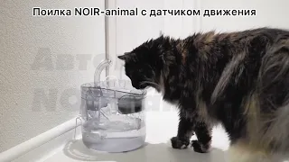 Поилка с датчиком движения NOIR-animal для домашних животных. Видео инструкция. Обзор работы.
