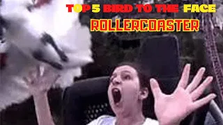 Top 5  Bird to the Face On Rollercoaster Compilation