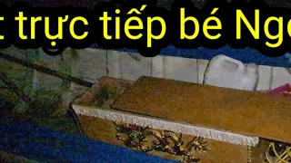 Phát Trực Tiếp Sư Thầy Dớt Sát Bé Ngọc