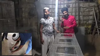 🦜Easy Process Of Making A Birds Cage At Home Step By Step (PARAKEET AMIR)🇮🇳