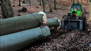 Logging, forestry tractor, hard work, forest work, large trees, @Andrew Camarata