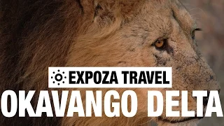 Okavango Delta Vacation Travel Video Guide