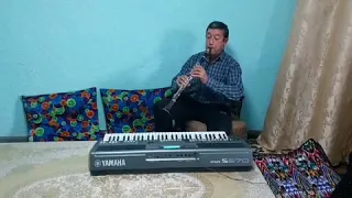 Бахадырхан-кларнет соло новая аранжировка на ямахе psr s670
