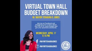 Virtual Townhall Budget Breakdown