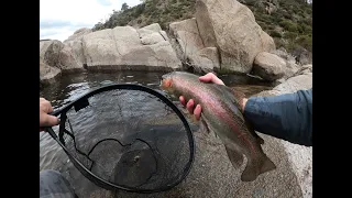 Fishing for MONSTER Rainbow Trout