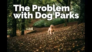 The PROBLEM with Dog Parks