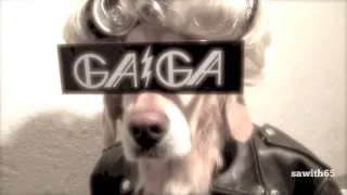 "Ginger Goes Gaga" Trailer