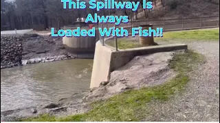 This spillway is always loaded with fish!!
