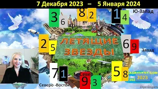 ЛЕТЯЩИЕ ЗВЕЗДЫ ДЕКАБРЬ 2023