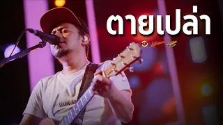 LABANOON - ตายเปล่า [Live] @ RINMA FEST 5