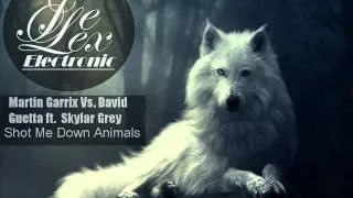 Martin Garrix Vs. David Guetta Ft. Skylar Grey - Shot Me Down Animals (Joe Lex MashUp)