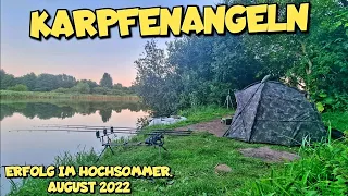 Karpfenangeln mit Erfolg im August 2022.