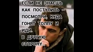 Все травители сплошной спектакль. Скажи НЕТ -этому цирку. Стань божественной искрой.20.09.23г.