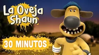 Compilación Temporada 5 (episodios 11-15) - La Oveja Shaun