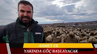 YAYLA'YA  GÖÇ YAKINDA BAṢLAYACAK