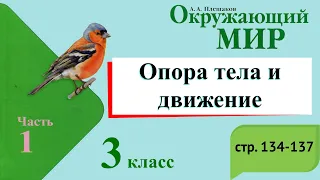 Опора тела и движение. Окружающий мир. 3 класс, 1 часть. Учебник А. Плешаков стр. 134-137