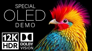 12K HDR Video ULTRA HD 120fps Dolby Vision - Special Oled Demo