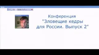 Зловещие кедры для России. Выпуск 2