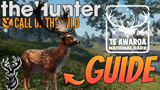 Fallow Deer Guide For Great One Grinding On Te Awaroa 2023 Thehunter Call Of The Wild