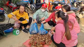 Harvest Ginger & Mushroom, Jade Crane Goes to the market to sell | Ly Thi Tam