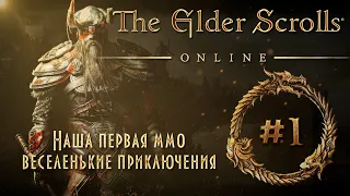 The Elder Scrolls Online. TESO глазами новичка в 2022 году.