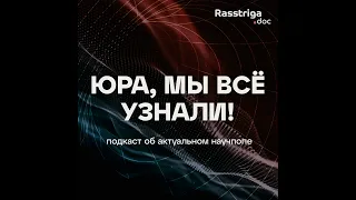 Денацификация. Что на самом деле означает это слово на примере послевоенной Германии