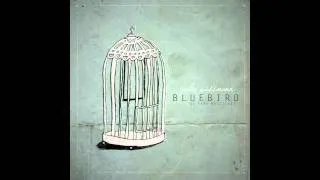 Sara Bareilles' Bluebird Cover (w/ strings)