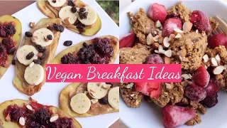 3 LAZY Vegan Breakfast Ideas 😋