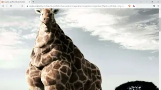 big fat giraffe in science