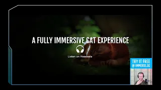 A Fully Immersive Cat Experience