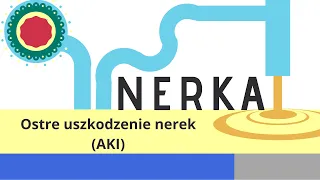 Nerka: Ostre Uszkodzenie Nerek